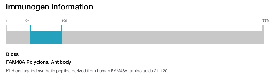 FAM48A Polyclonal Antibody