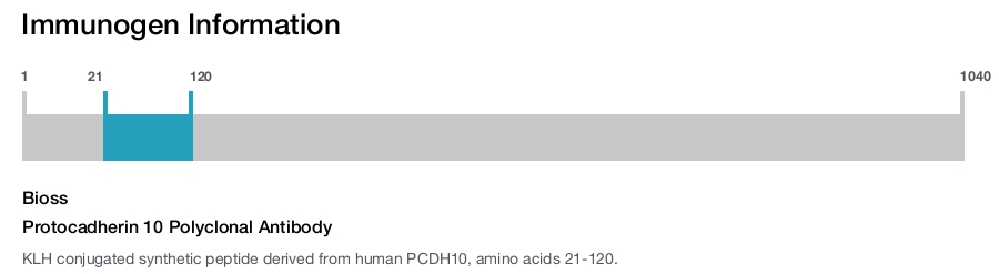 Protocadherin 10 Polyclonal Antibody