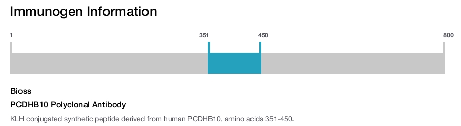 PCDHB10 Polyclonal Antibody