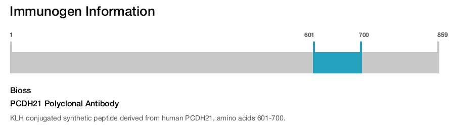 PCDH21 Polyclonal Antibody