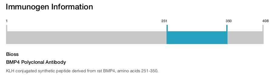 BMP4 Polyclonal Antibody