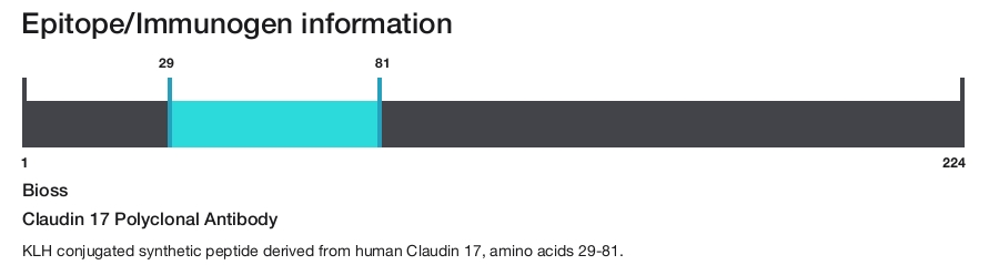 Claudin 17 Polyclonal Antibody