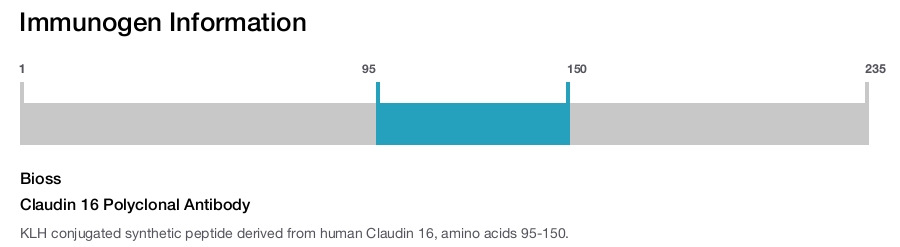 Claudin 16 Polyclonal Antibody