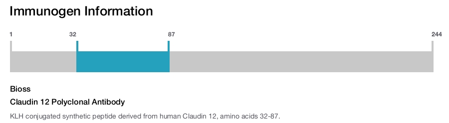 Claudin 12 Polyclonal Antibody