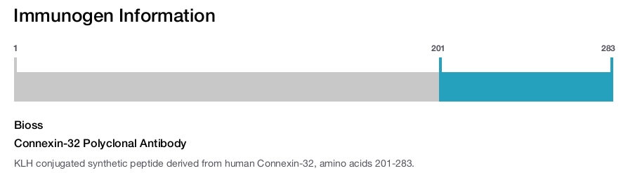 Connexin-32 Polyclonal Antibody