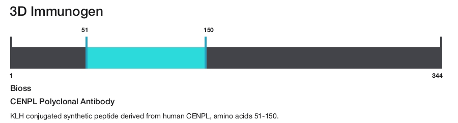 CENPL Polyclonal Antibody