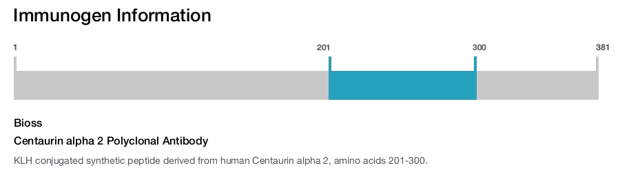 Centaurin alpha 2 Polyclonal Antibody