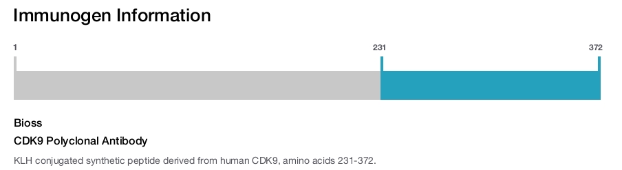 CDK9 Polyclonal Antibody