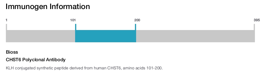 CHST6 Polyclonal Antibody