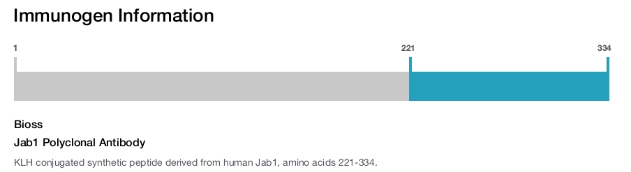 Jab1 Polyclonal Antibody