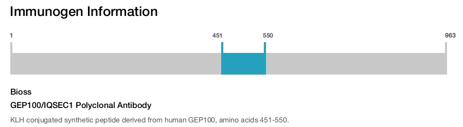 GEP100/IQSEC1 Polyclonal Antibody