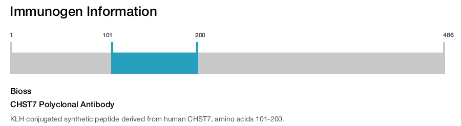 CHST7 Polyclonal Antibody