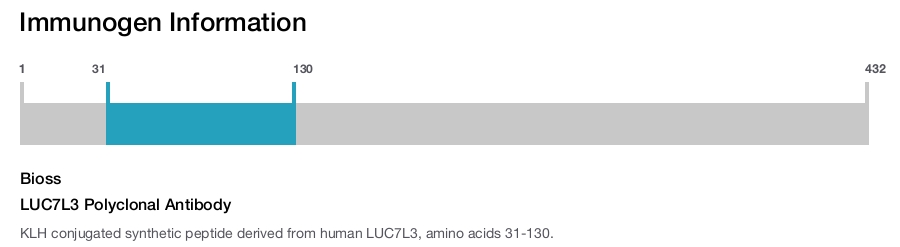 LUC7L3 Polyclonal Antibody