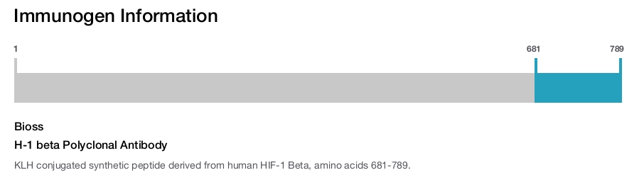 H-1 beta Polyclonal Antibody