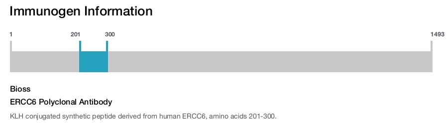 ERCC6 Polyclonal Antibody