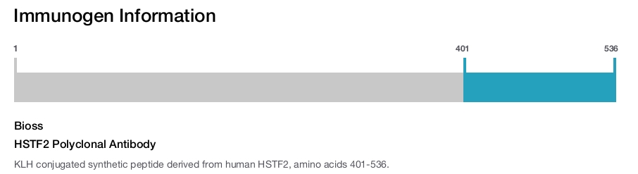 HSTF2 Polyclonal Antibody