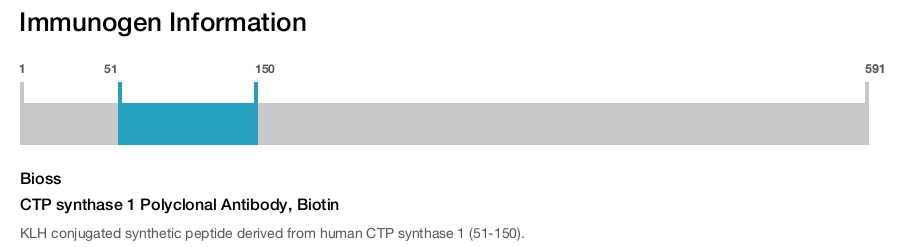 CTP synthase 1 Polyclonal Antibody, Biotin