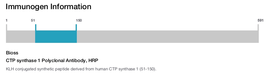 CTP synthase 1 Polyclonal Antibody, HRP