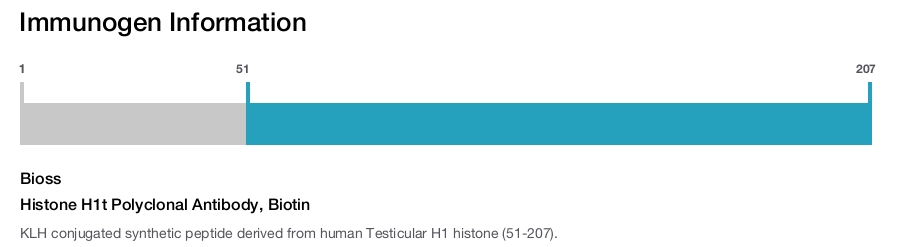 Histone H1t Polyclonal Antibody, Biotin