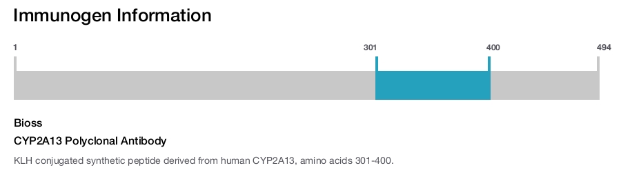 CYP2A13 Polyclonal Antibody