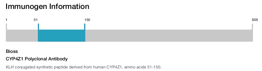 CYP4Z1 Polyclonal Antibody