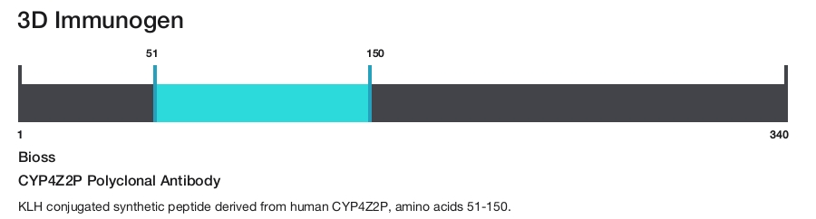 CYP4Z2P Polyclonal Antibody