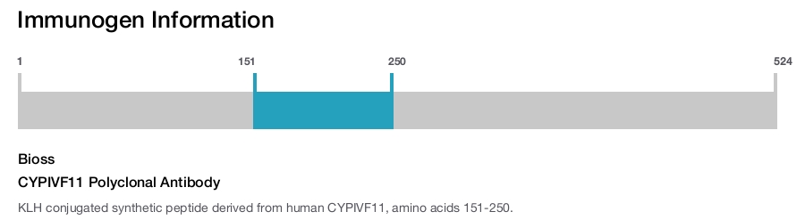 CYPIVF11 Polyclonal Antibody