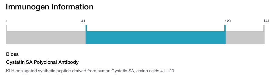 Cystatin SA Polyclonal Antibody