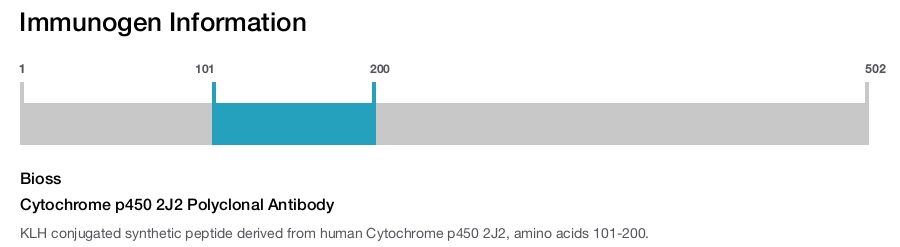 Cytochrome p450 2J2 Polyclonal Antibody