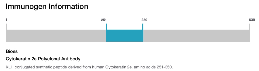 Cytokeratin 2e Polyclonal Antibody