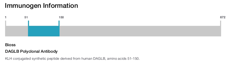 DAGLB Polyclonal Antibody