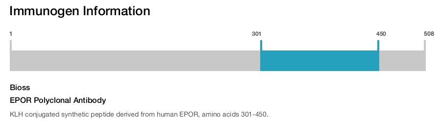 EPOR Polyclonal Antibody