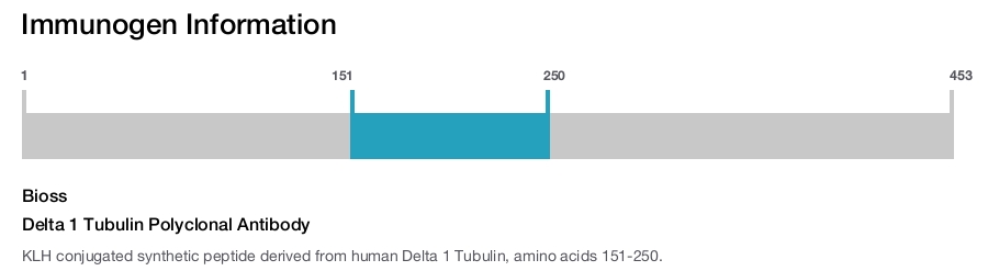 Delta 1 Tubulin Polyclonal Antibody