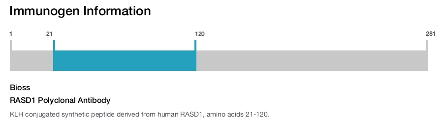 RASD1 Polyclonal Antibody