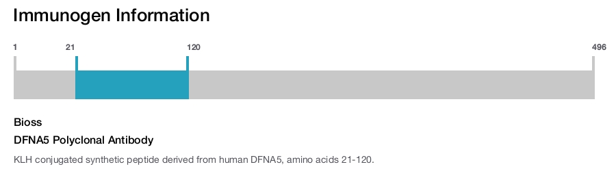 DFNA5 Polyclonal Antibody