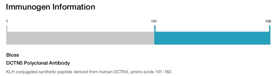 DCTN5 Polyclonal Antibody