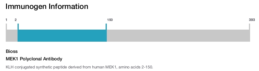 MEK1 Polyclonal Antibody