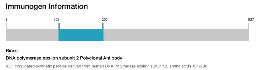 DNA polymerase epsilon subunit 2 Polyclonal Antibody