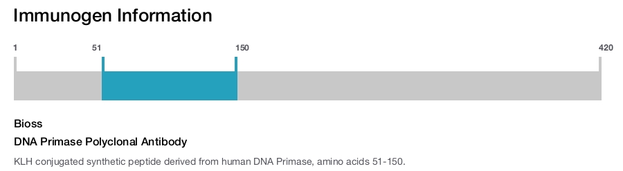 DNA Primase Polyclonal Antibody