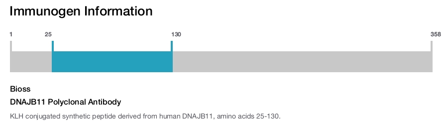 DNAJB11 Polyclonal Antibody