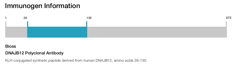 DNAJB12 Polyclonal Antibody