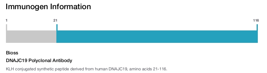 DNAJC19 Polyclonal Antibody