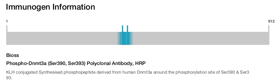 Phospho-Dnmt3a (Ser390, Ser393) Polyclonal Antibody, HRP