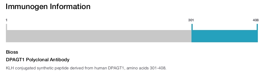 DPAGT1 Polyclonal Antibody