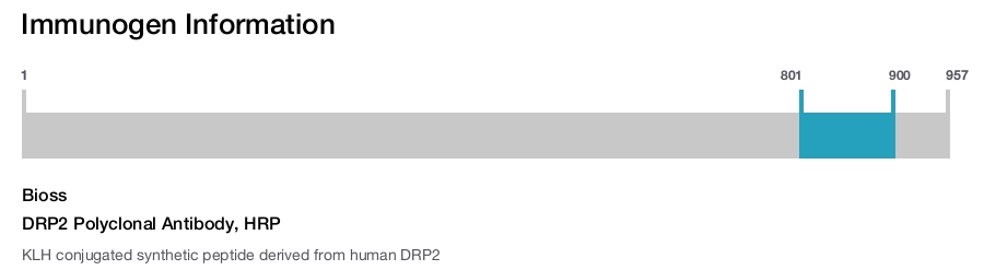DRP2 Polyclonal Antibody, HRP