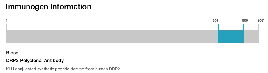 DRP2 Polyclonal Antibody