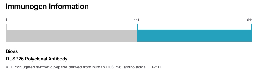 DUSP26 Polyclonal Antibody