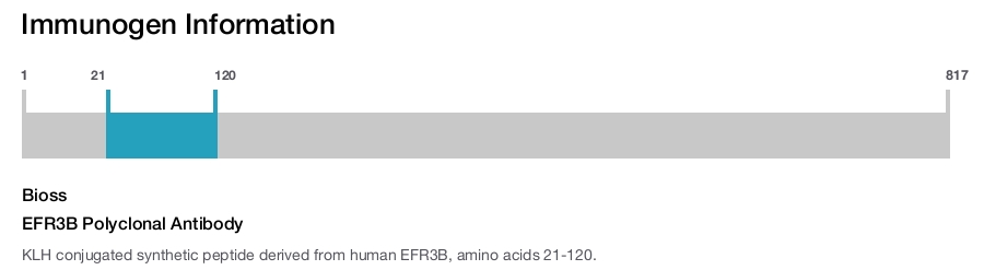 EFR3B Polyclonal Antibody