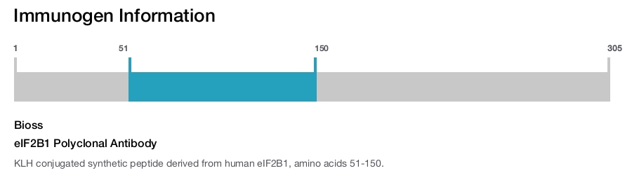 eIF2B1 Polyclonal Antibody