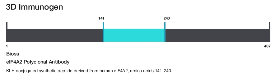 eIF4A2 Polyclonal Antibody